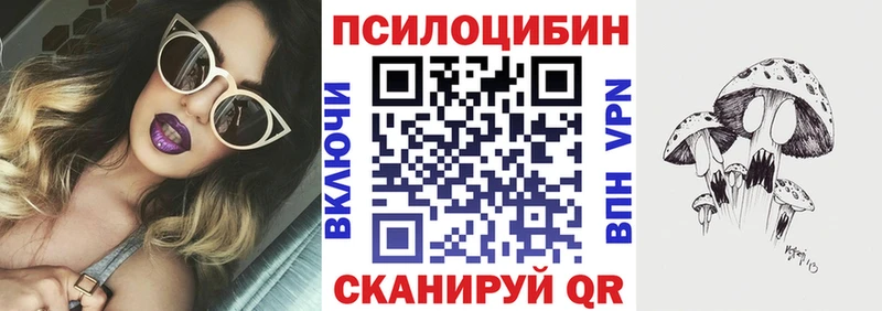 Псилоцибиновые грибы Psilocybe  Ряжск 